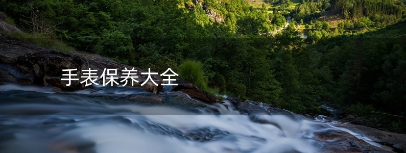 手表保養(yǎng)大全