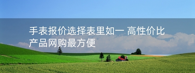 手表報(bào)價(jià)選擇表里如一 高性價(jià)比產(chǎn)品網(wǎng)購最方便