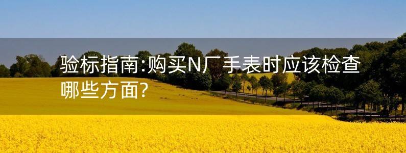 驗標指南:購買N廠手表時應該檢查哪些方面?