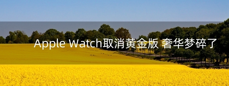 Apple Watch取消黃金版 奢華夢碎了