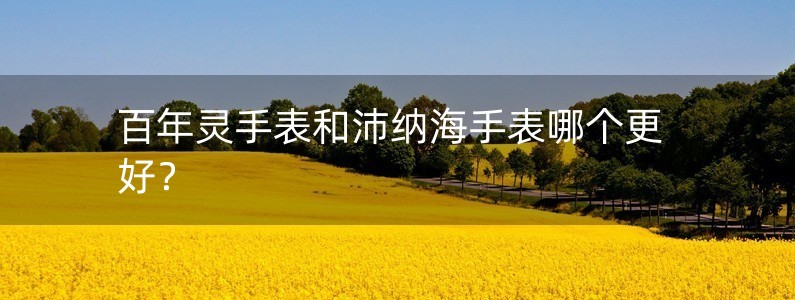 百年靈手表和沛納海手表哪個(gè)更好？