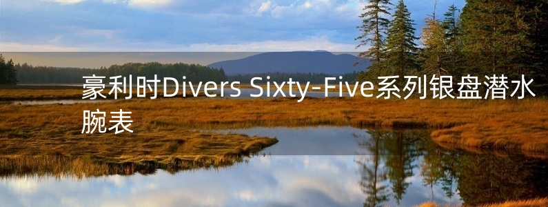 豪利時Divers Sixty-Five系列銀盤潛水腕表