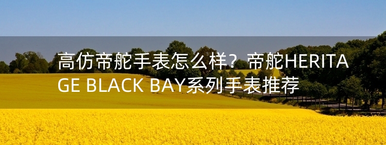 高仿帝舵手表怎么樣？帝舵HERITAGE BLACK BAY系列手表推薦