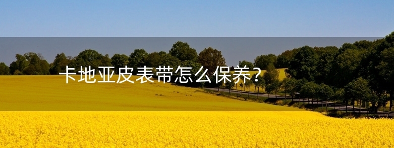 卡地亞皮表帶怎么保養(yǎng)？