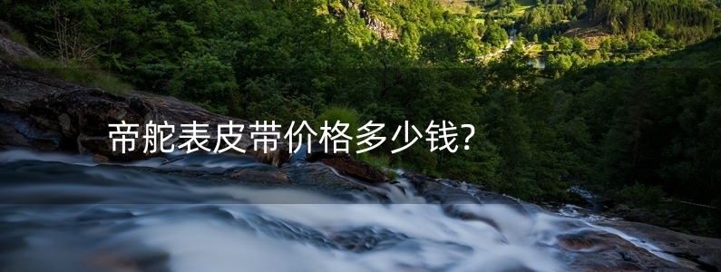 帝舵表皮帶價格多少錢?