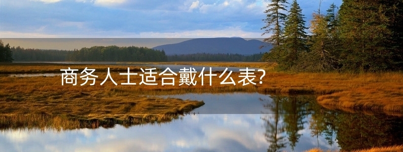 商務(wù)人士適合戴什么表?