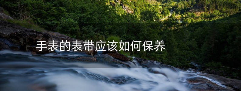 手表的表帶應(yīng)該如何保養(yǎng)