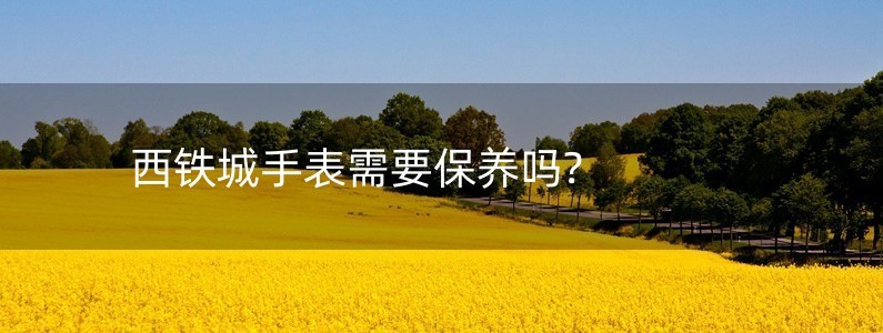 西鐵城手表需要保養(yǎng)嗎?