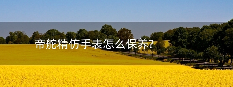 帝舵精仿手表怎么保養(yǎng)?