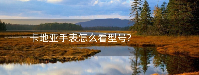 卡地亞手表怎么看型號(hào)?