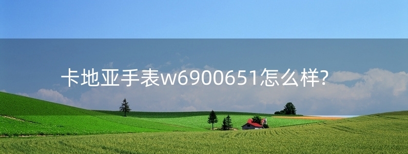 卡地亞手表w6900651怎么樣?