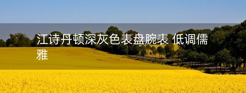 江詩(shī)丹頓深灰色表盤腕表 低調(diào)儒雅