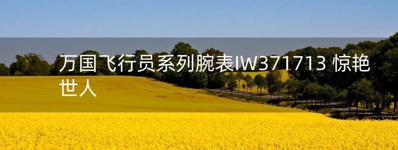 萬(wàn)國(guó)飛行員系列腕表IW371713 驚艷世人