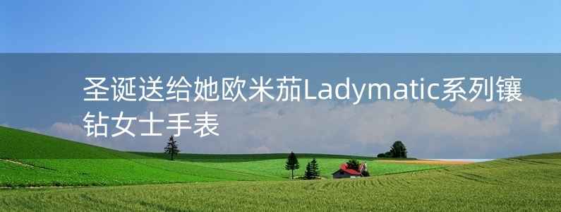 圣誕送給她歐米茄Ladymatic系列鑲鉆女士手表