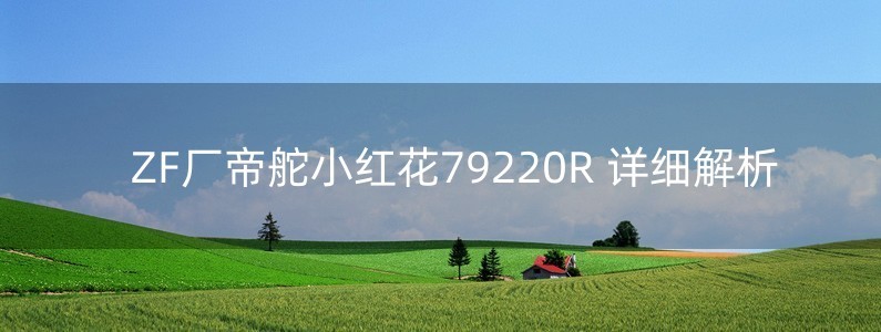 ZF廠帝舵小紅花79220R 詳細解析