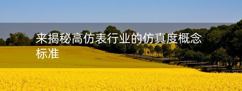 來(lái)揭秘高仿表行業(yè)的仿真度概念標(biāo)準(zhǔn)