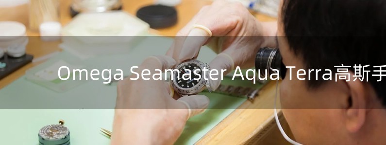 Omega Seamaster Aqua Terra高斯手表測評