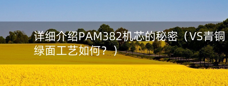 詳細(xì)介紹PAM382機(jī)芯的秘密（VS青銅綠面工藝如何？）