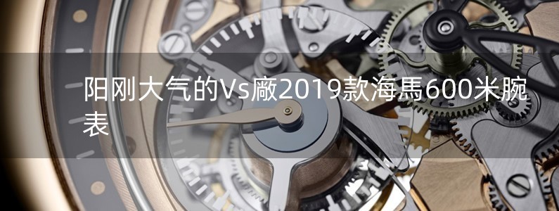 陽剛大氣的Vs廠2019款海馬600米腕表