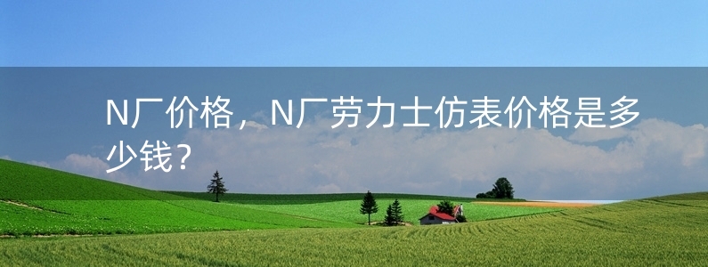 N廠價格，N廠勞力士仿表價格是多少錢？