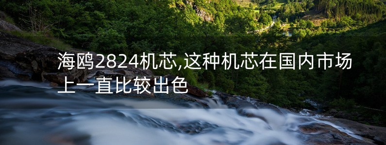 海鷗2824機(jī)芯,這種機(jī)芯在國內(nèi)市場上一直比較出色