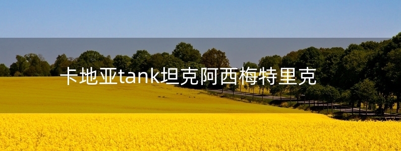 卡地亞tank坦克阿西梅特里克