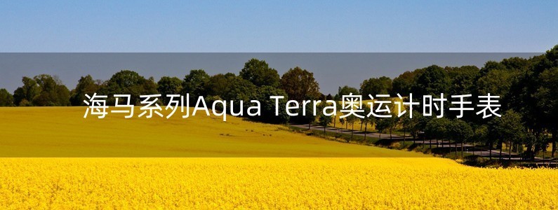 海馬系列Aqua Terra奧運計時手表