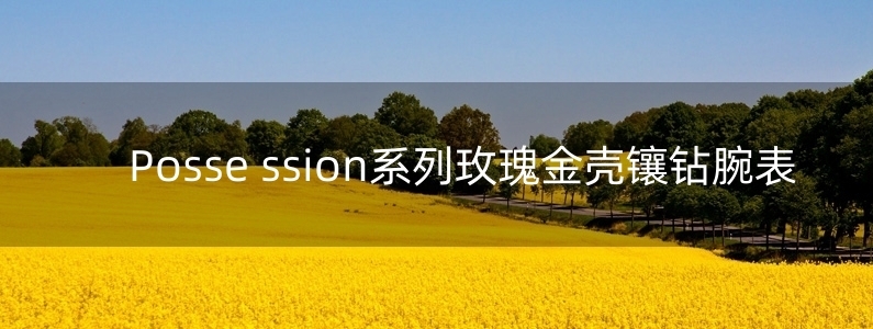 Posse ssion系列玫瑰金殼鑲鉆腕表