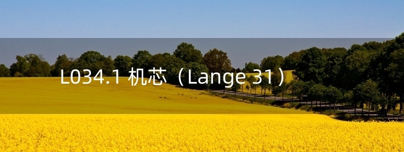 L034.1 機芯（Lange 31）